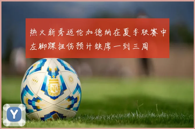 热火新秀迈伦加德纳在夏季联赛中左脚踝扭伤预计缺席一到三周