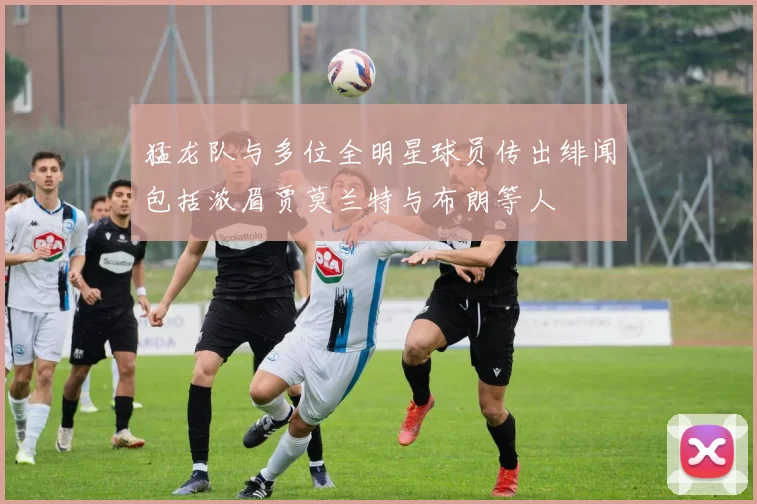 猛龙队与多位全明星球员传出绯闻包括浓眉贾莫兰特与布朗等人