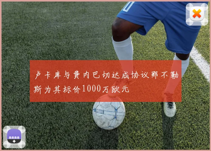 卢卡库与费内巴切达成协议那不勒斯为其标价1000万欧元